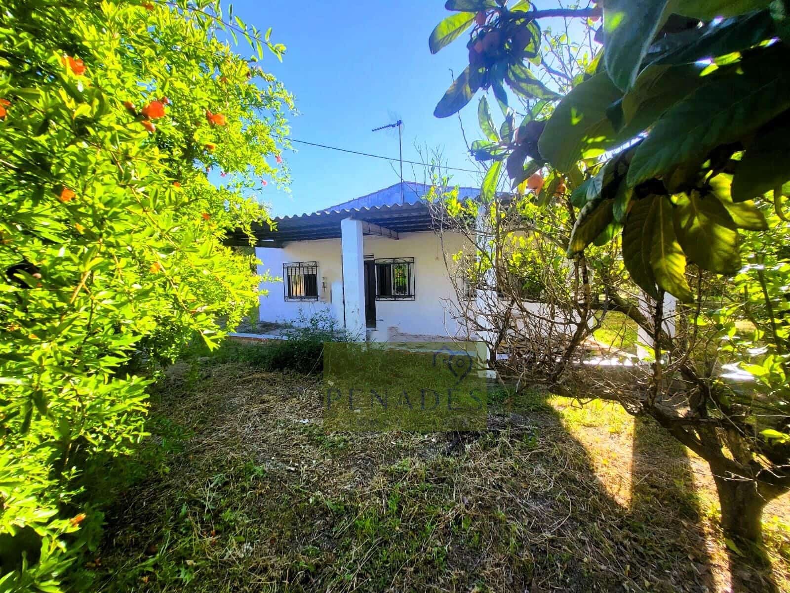3 chambre Villa/Maison à vendre à Ontinyent - 150 000 € (Ref: 9882106)