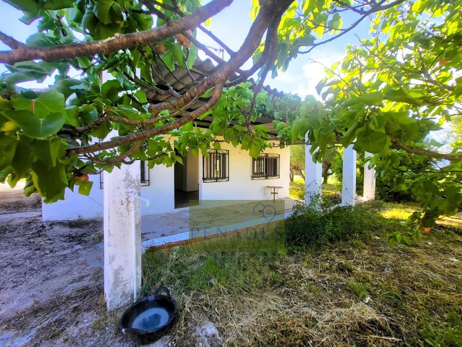 3 chambre Villa/Maison à vendre à Ontinyent - 150 000 € (Ref: 9882106)