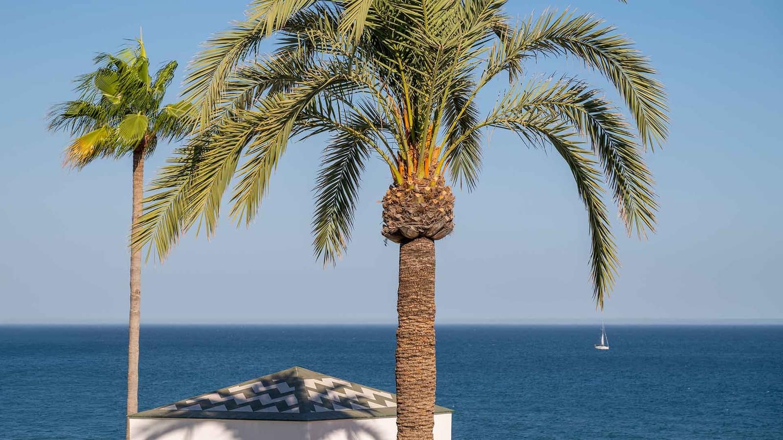 3 Zimmer Penthouse zu verkaufen in Estepona mit Pool - 2.495.000 € (Ref: 10042727)
