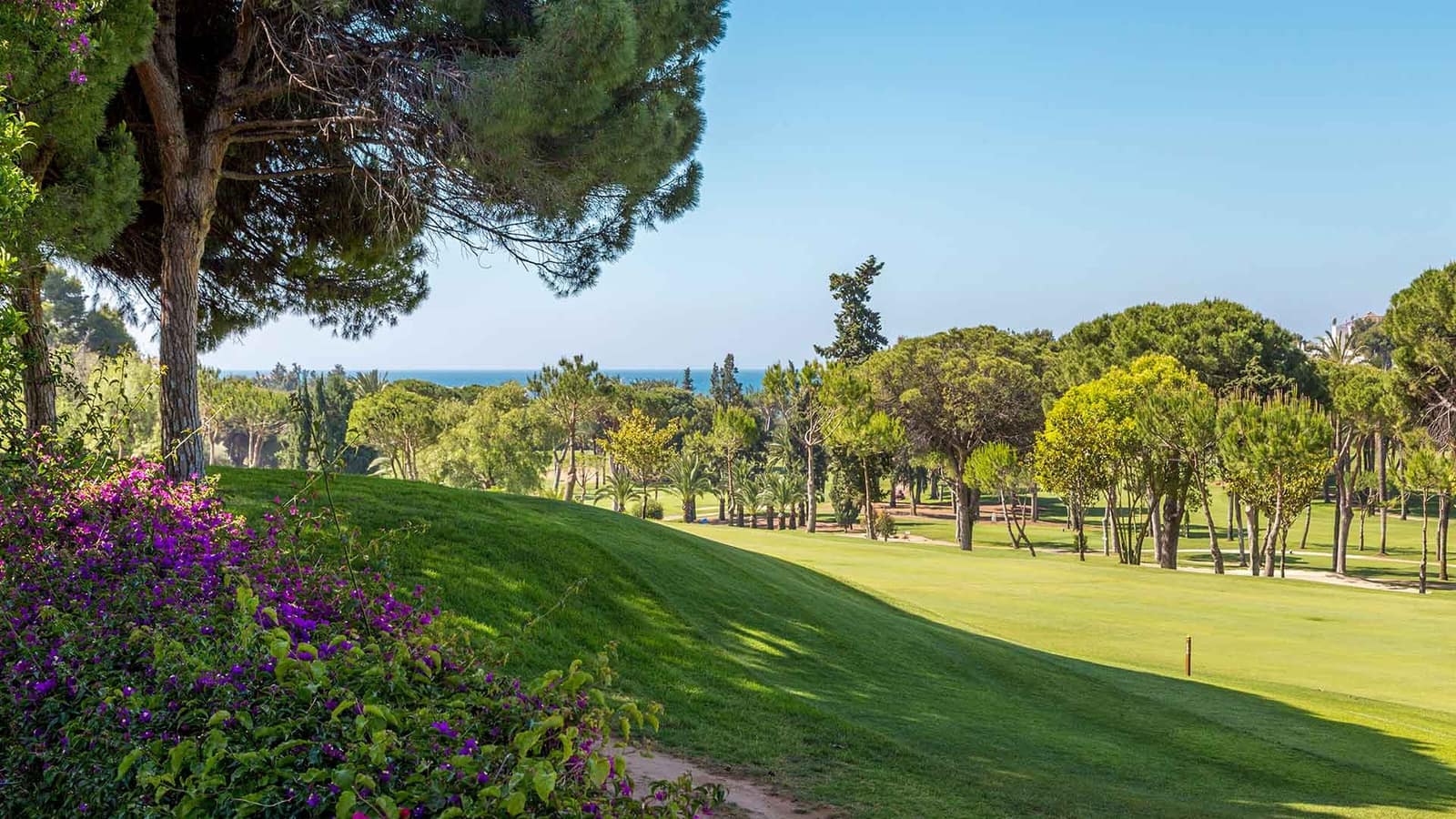 6 Zimmer Villa zu verkaufen in Rio Real mit Pool - 3.500.000 € (Ref: 3139867)