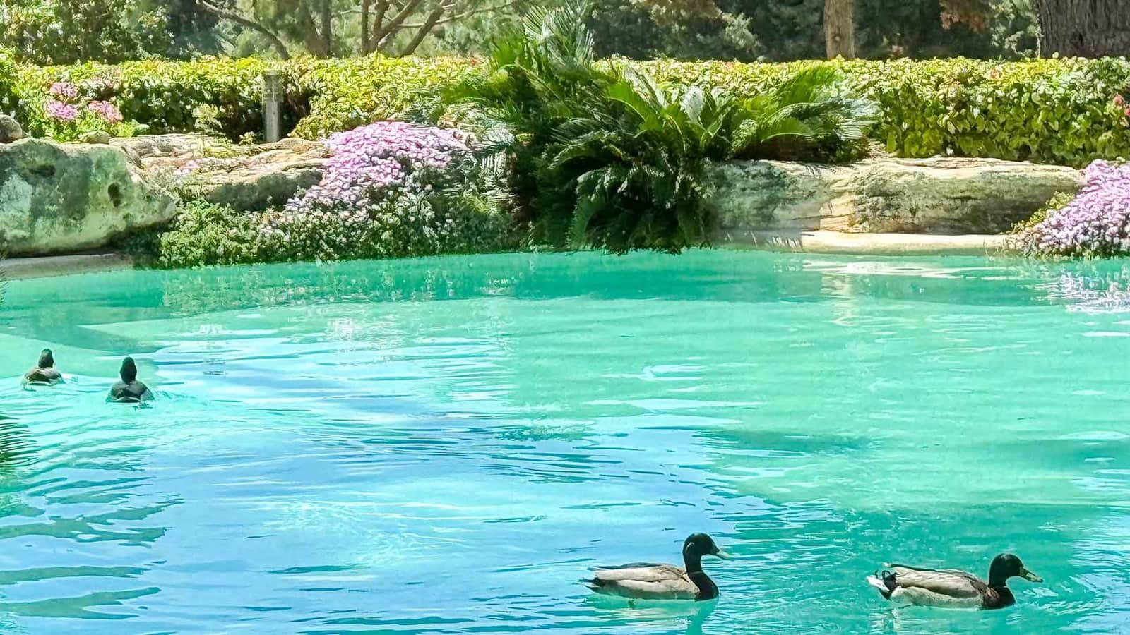 6 Zimmer Villa zu verkaufen in Rio Real mit Pool - 3.500.000 € (Ref: 3139867)