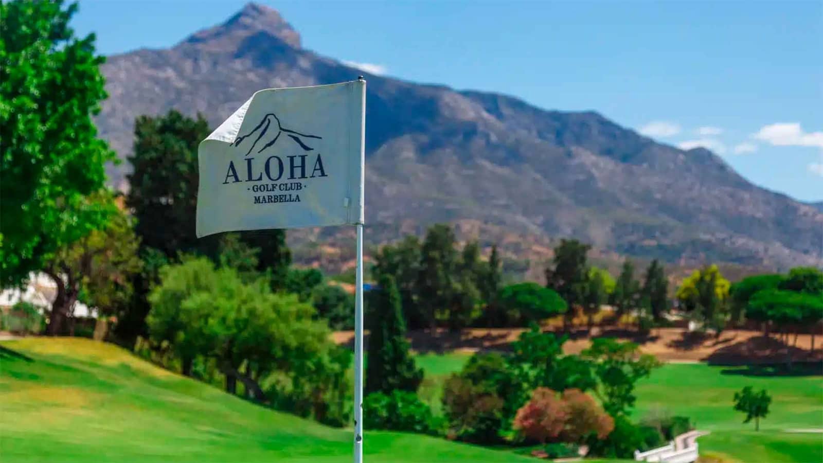 6 slaapkamer Villa te koop in Aloha Golf met zwembad - € 10.900.000 (Ref: 9215171)