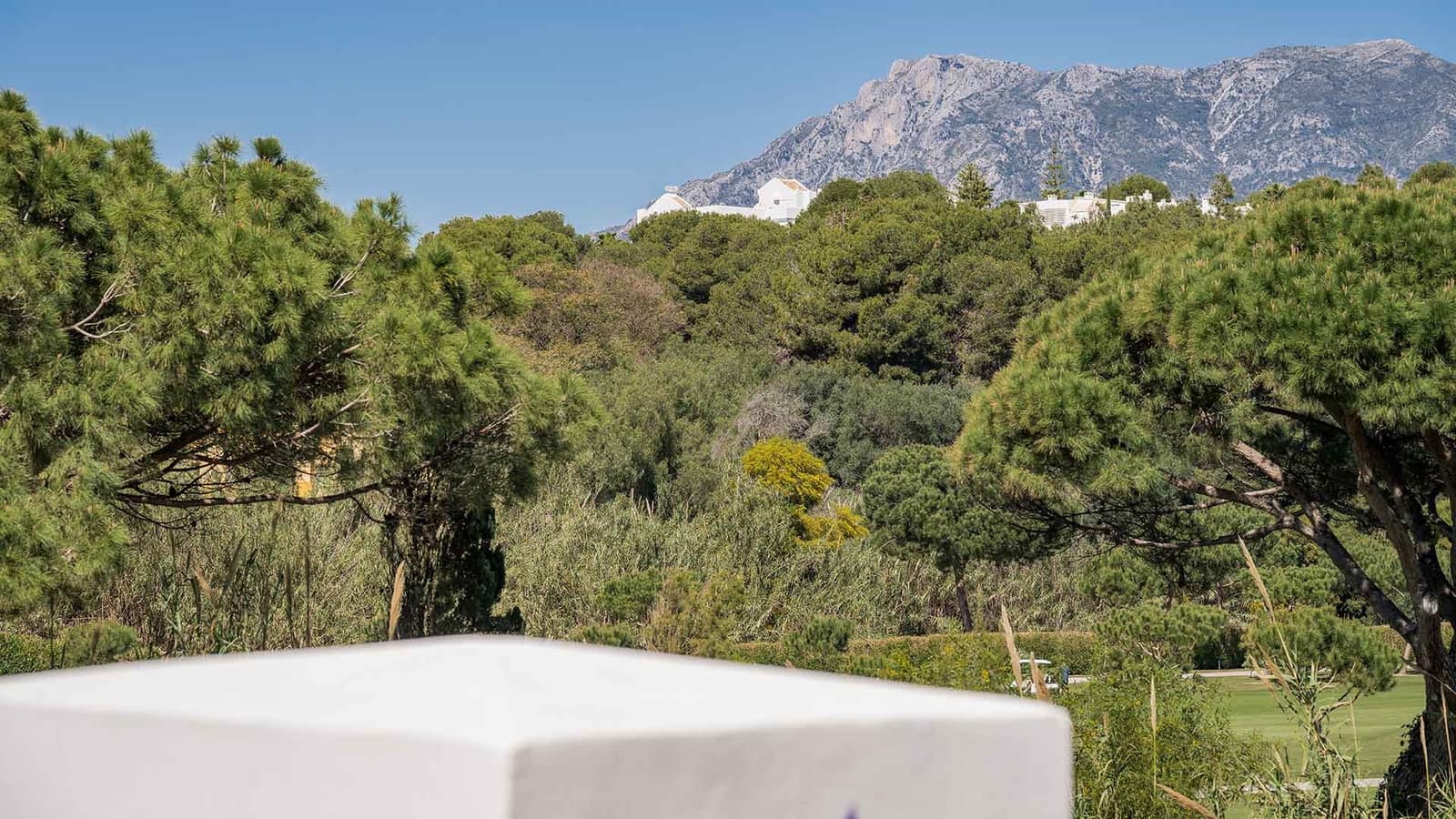 6 sypialnia Apartament na sprzedaż w Los Monteros z basenem - 4 650 000 € (Ref: 9262494)