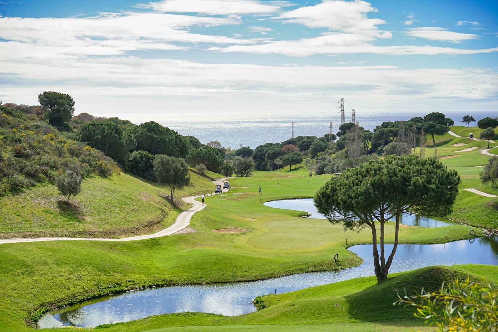 5 sypialnia Willa na sprzedaż w Artola - 4 275 000 € (Ref: 9437115)