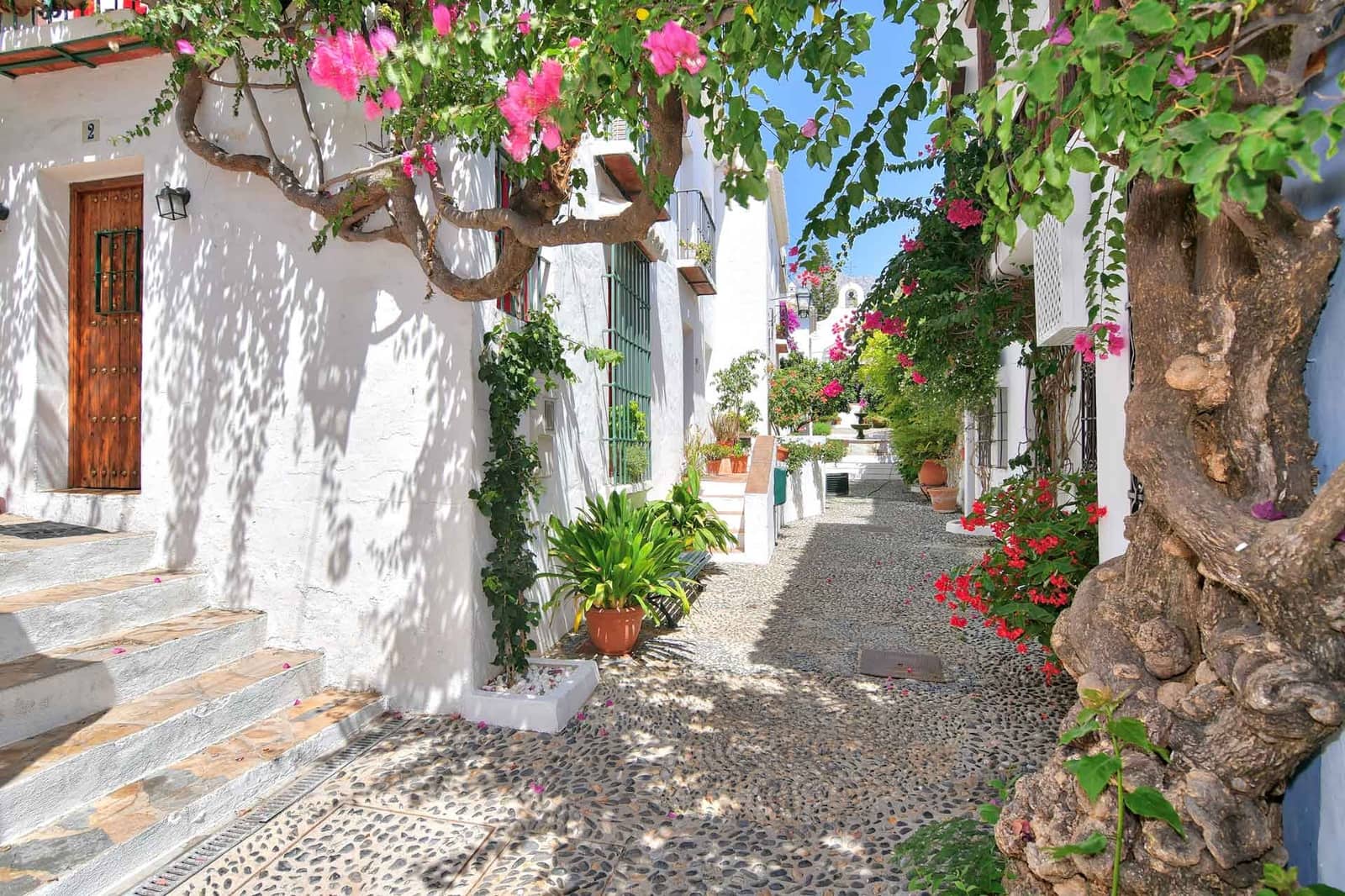 2 bedroom Townhouse for sale in Golden Mile - € 1,150,000 (Ref: 9437116)