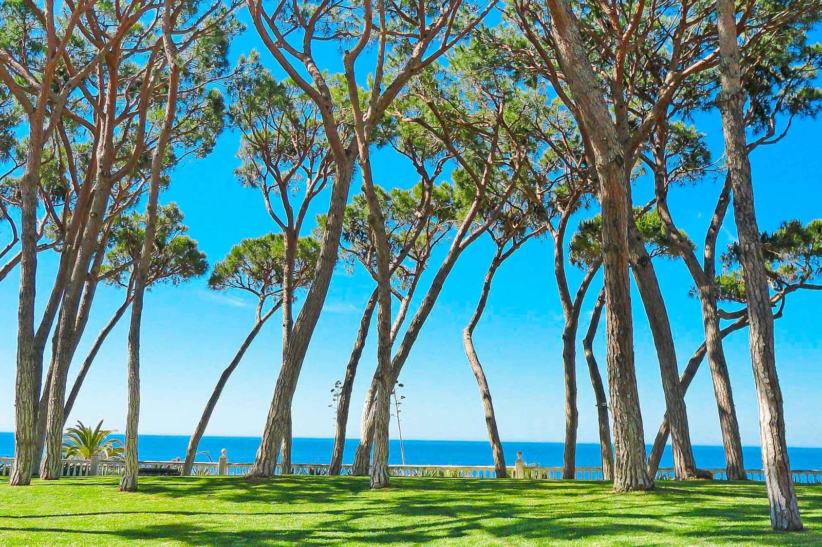 1 makuuhuone Huoneisto myytävänä paikassa Golden Mile mukana uima-altaan - 1 050 000 € (Ref: 9619412)