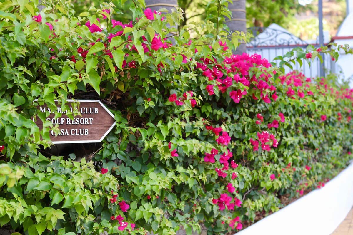 3 bedroom Apartment for sale in Benahavis - € 710,000 (Ref: 6172531)