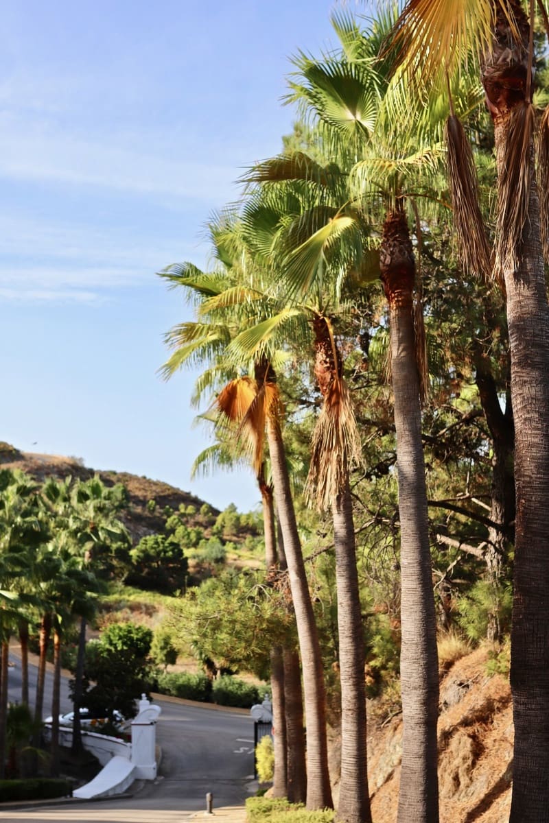 3 bedroom Apartment for sale in Benahavis - € 710,000 (Ref: 6172531)