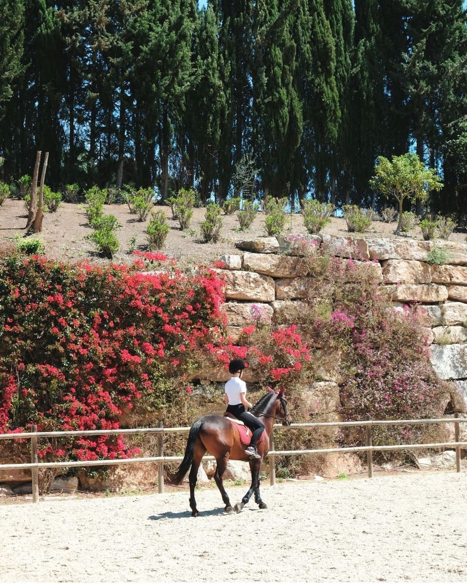 3 bedroom Apartment for sale in Benahavis - € 710,000 (Ref: 6172531)