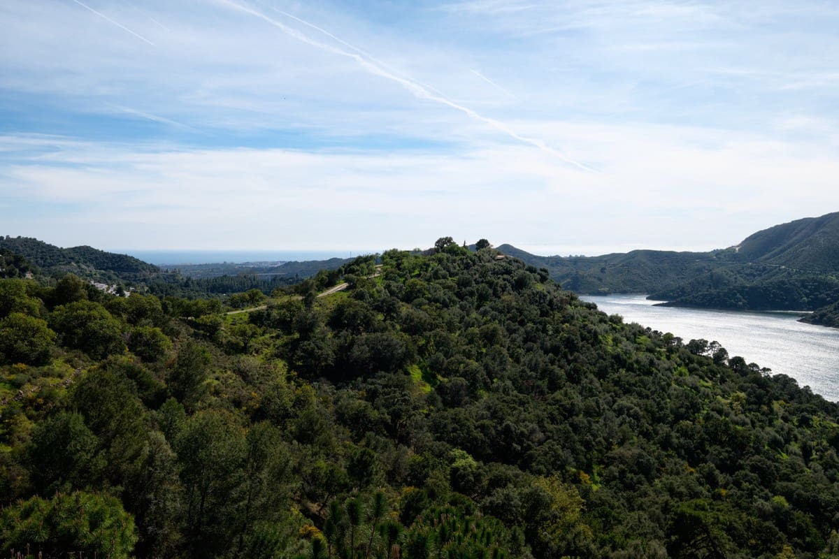 5 soverom Villa til salgs i Istan - € 3 495 000 (Ref: 6457823)