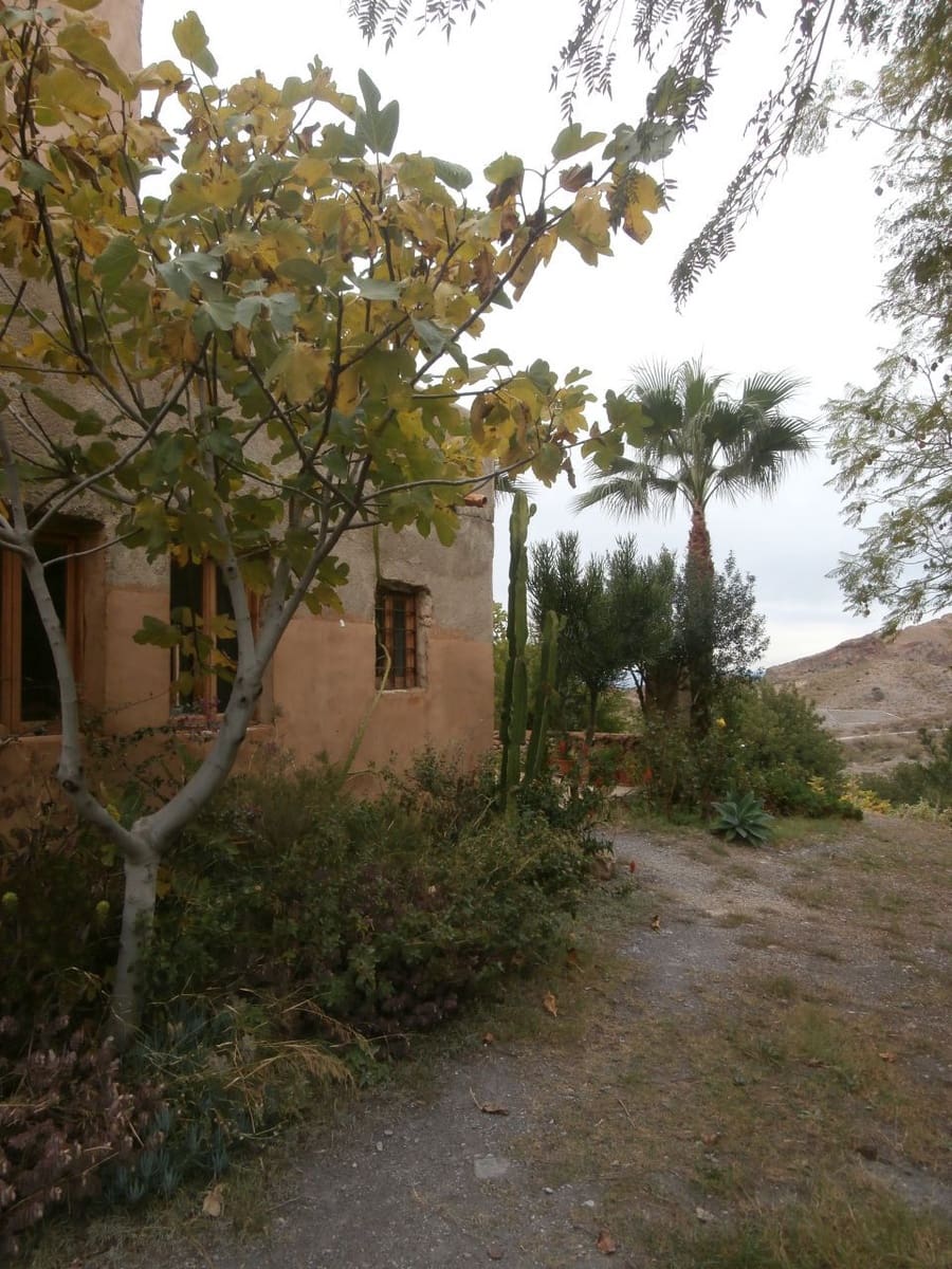 Terrain à Bâtir à vendre à Turre - 385 000 € (Ref: 5483188)