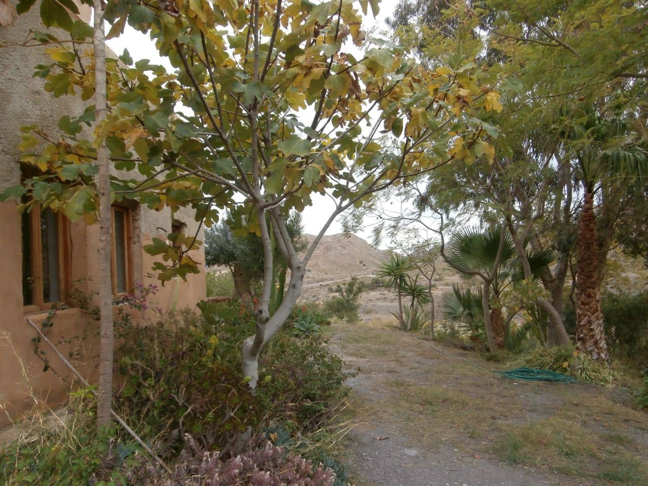 Terrain à Bâtir à vendre à Turre - 385 000 € (Ref: 5483188)