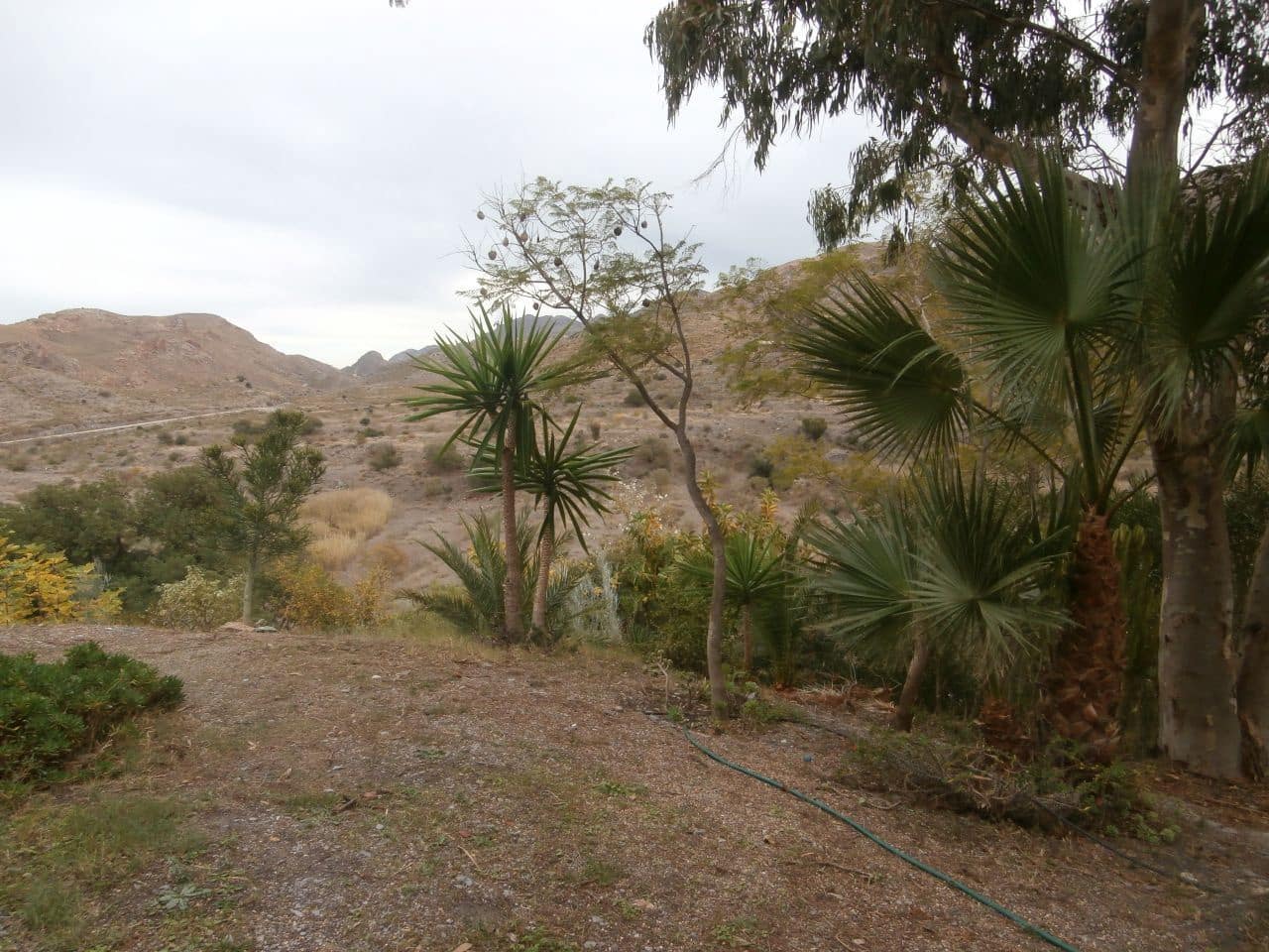 Terrain à Bâtir à vendre à Turre - 385 000 € (Ref: 5483188)