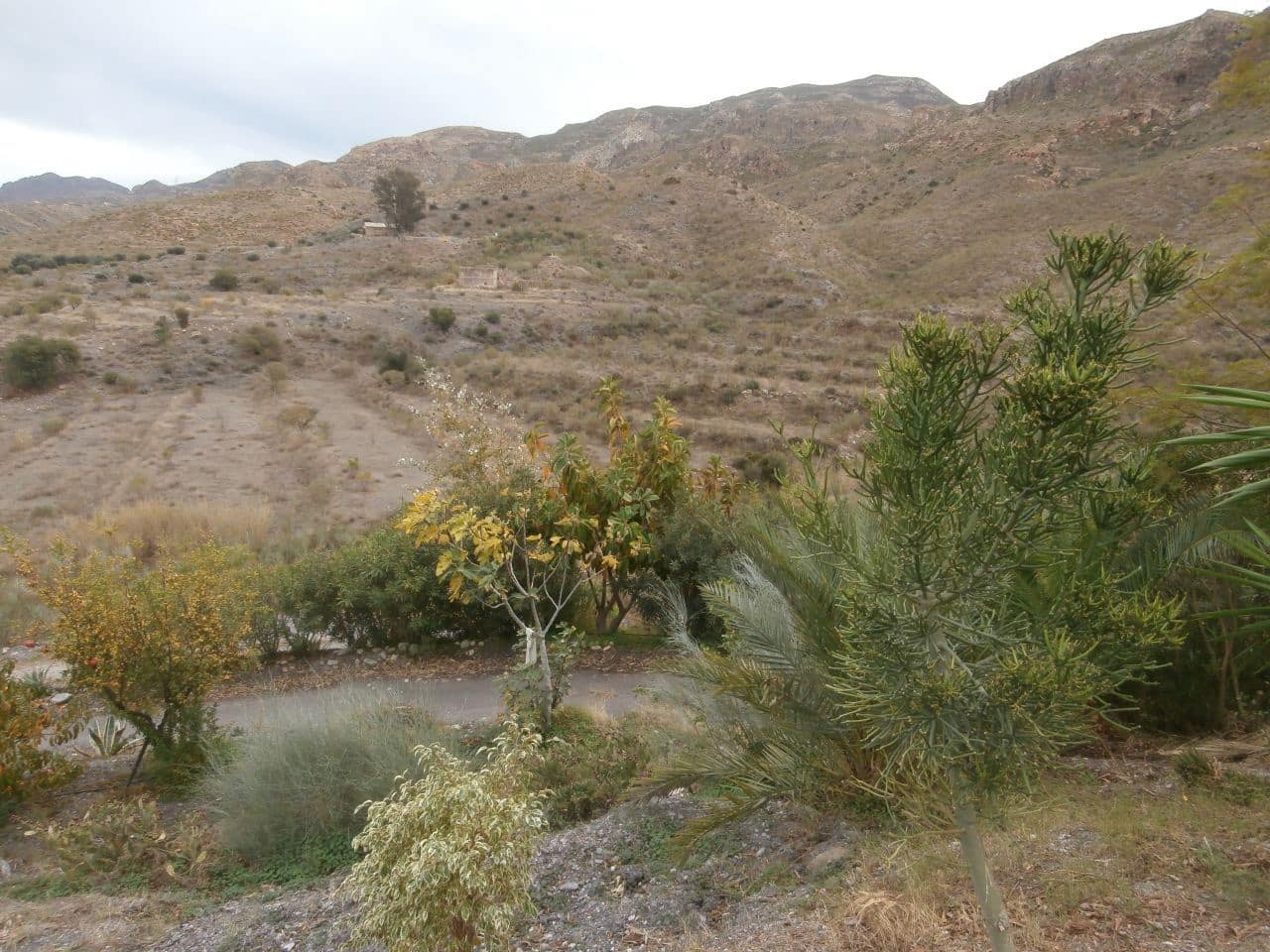 Terrain à Bâtir à vendre à Turre - 385 000 € (Ref: 5483188)