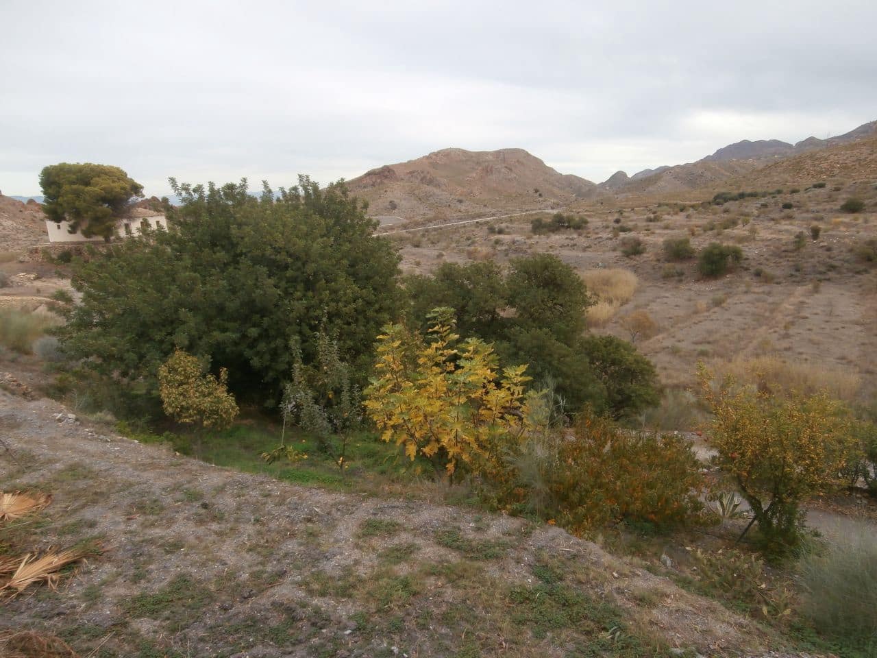 Terrain à Bâtir à vendre à Turre - 385 000 € (Ref: 5483188)