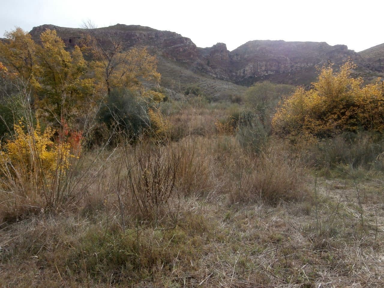 Terrain à Bâtir à vendre à Turre - 385 000 € (Ref: 5483188)