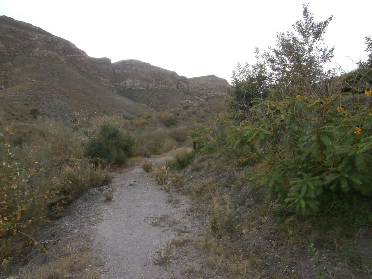 Terrain à Bâtir à vendre à Turre - 385 000 € (Ref: 5483188)