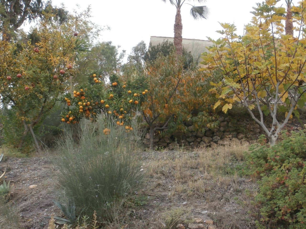 Terrain à Bâtir à vendre à Turre - 385 000 € (Ref: 5483188)