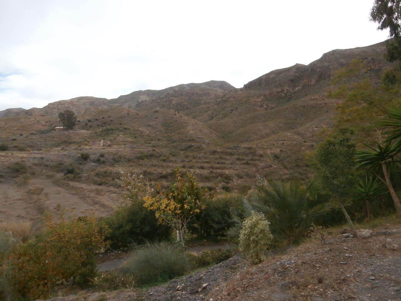 Terrain à Bâtir à vendre à Turre - 385 000 € (Ref: 5483188)