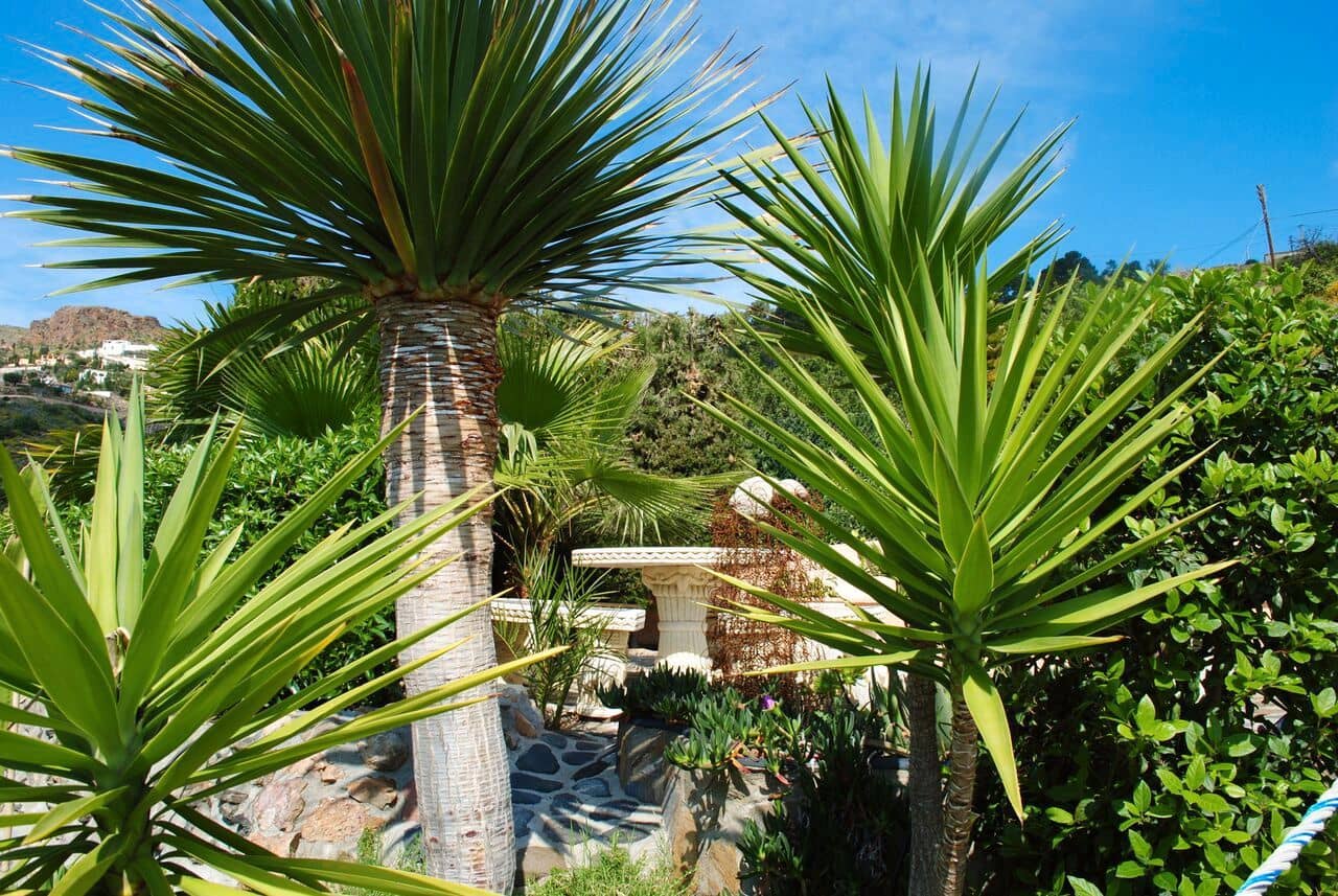 4 quarto Moradia para venda em Mojacar com piscina garagem - 595 000 € (Ref: 5500949)