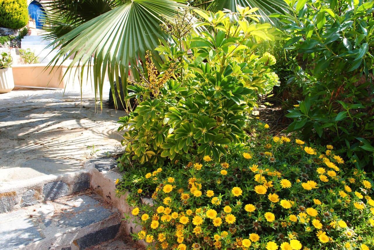 4 quarto Moradia para venda em Mojacar com piscina garagem - 595 000 € (Ref: 5500949)