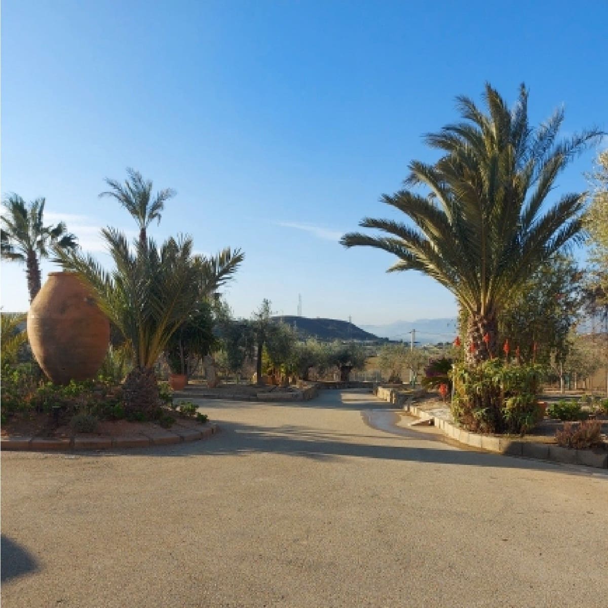 4 soveværelse Finca/Landehus til salg i Antas - € 260.000 (Ref: 7168346)