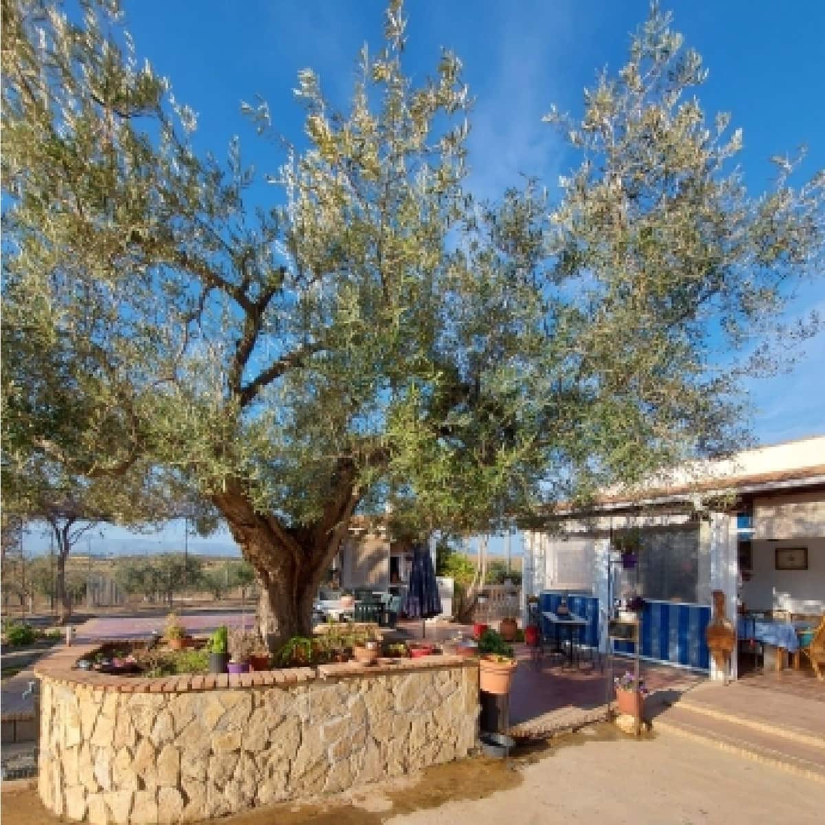 4 soveværelse Finca/Landehus til salg i Antas - € 260.000 (Ref: 7168346)