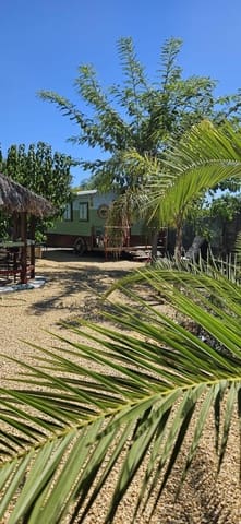 5 slaapkamer Villa te koop in Matola, Elche / Elx met zwembad garage - € 679.000 (Ref: 10059479)