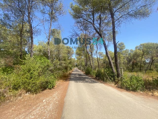 Mark till salu i Alcúdia - 17 000 € (Ref: 10046094)