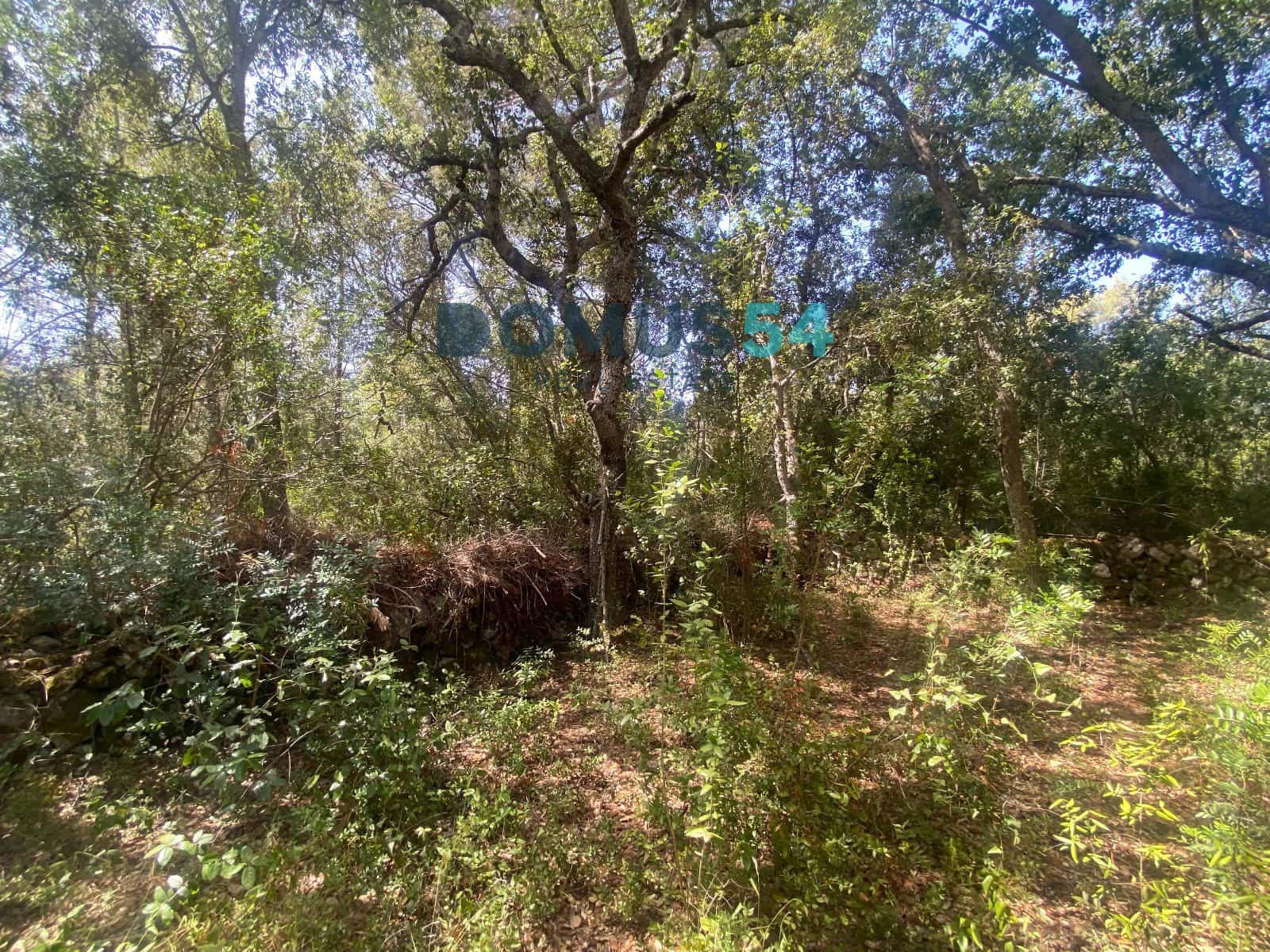 Mark till salu i Alcudia - 17 000 € (Ref: 10046094)