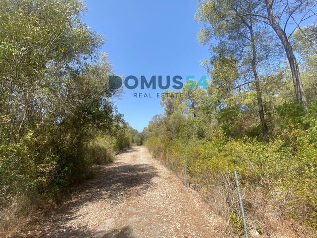 Mark till salu i Alcúdia - 17 000 € (Ref: 10046094)