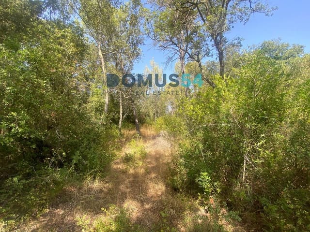 Mark till salu i Alcúdia - 17 000 € (Ref: 10046094)