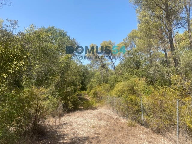 Mark till salu i Alcúdia - 17 000 € (Ref: 10046094)