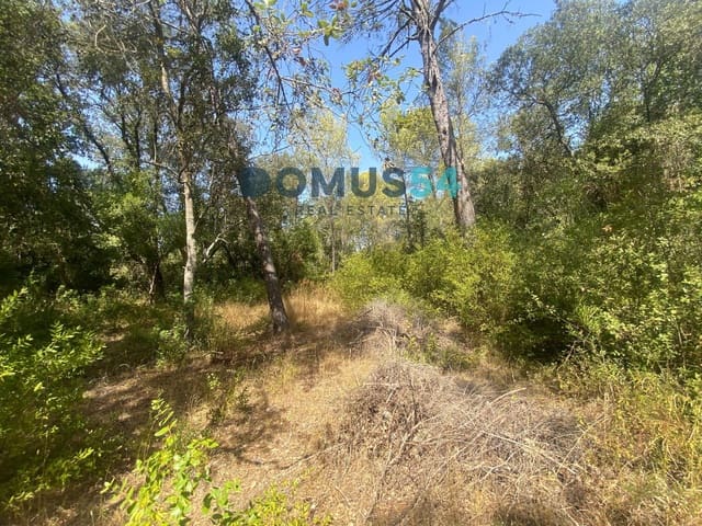 Mark till salu i Alcúdia - 17 000 € (Ref: 10046094)