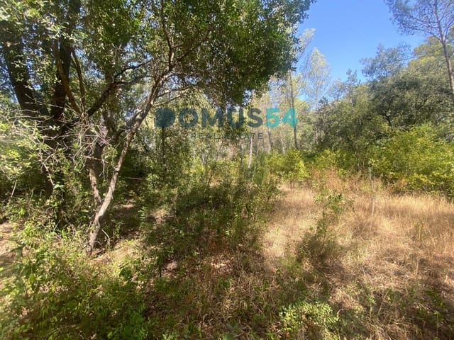 Mark till salu i Alcúdia - 17 000 € (Ref: 10046094)