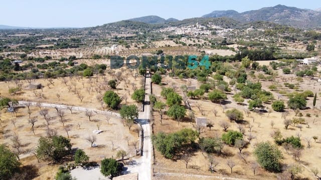 Bauplatz zu verkaufen in Moscari, Selva - 750.000 € (Ref: 10057289)