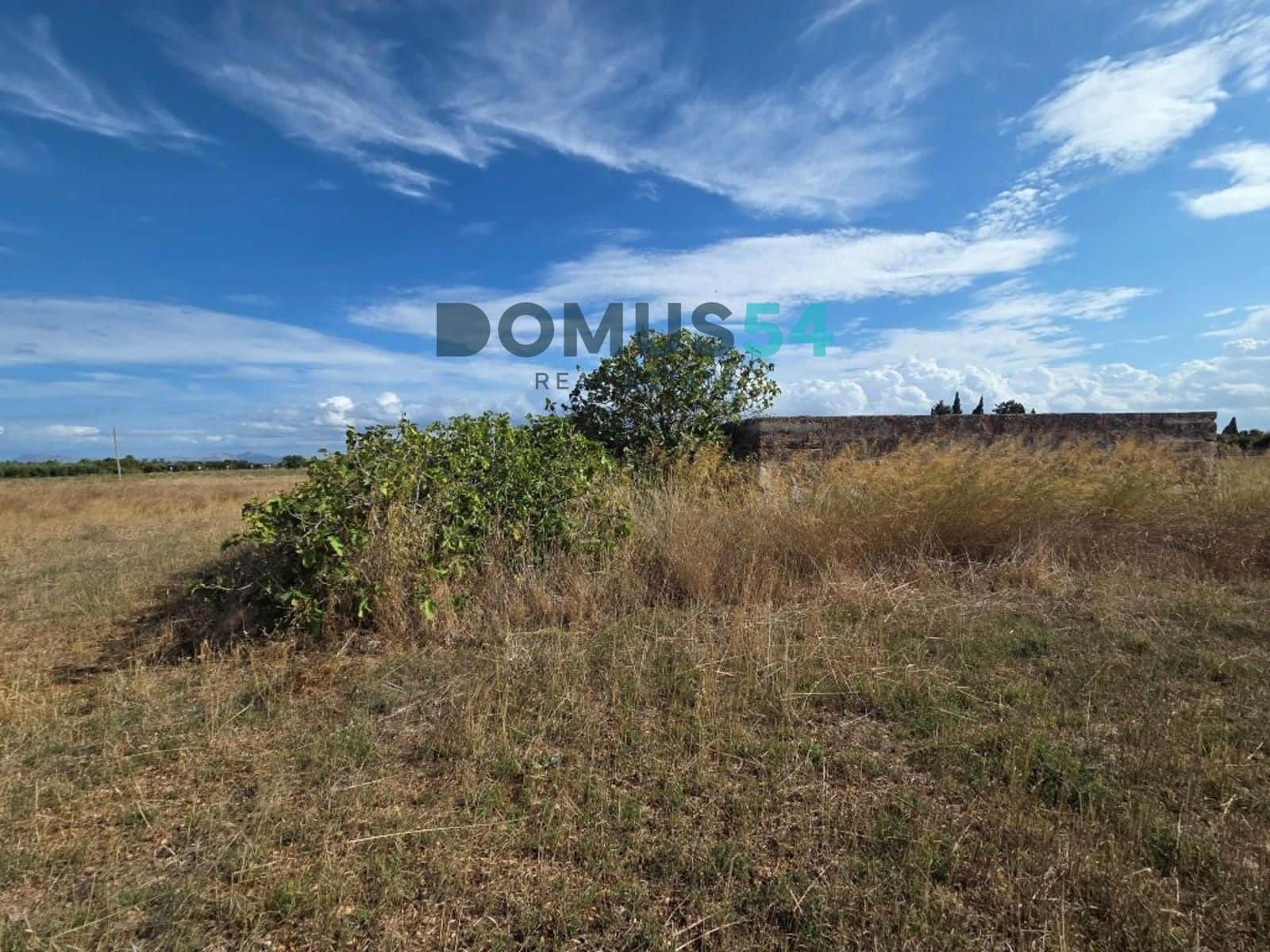 Grunde uden byggetilladelser til salg i Sa Pobla - € 64.000 (Ref: 10145101)
