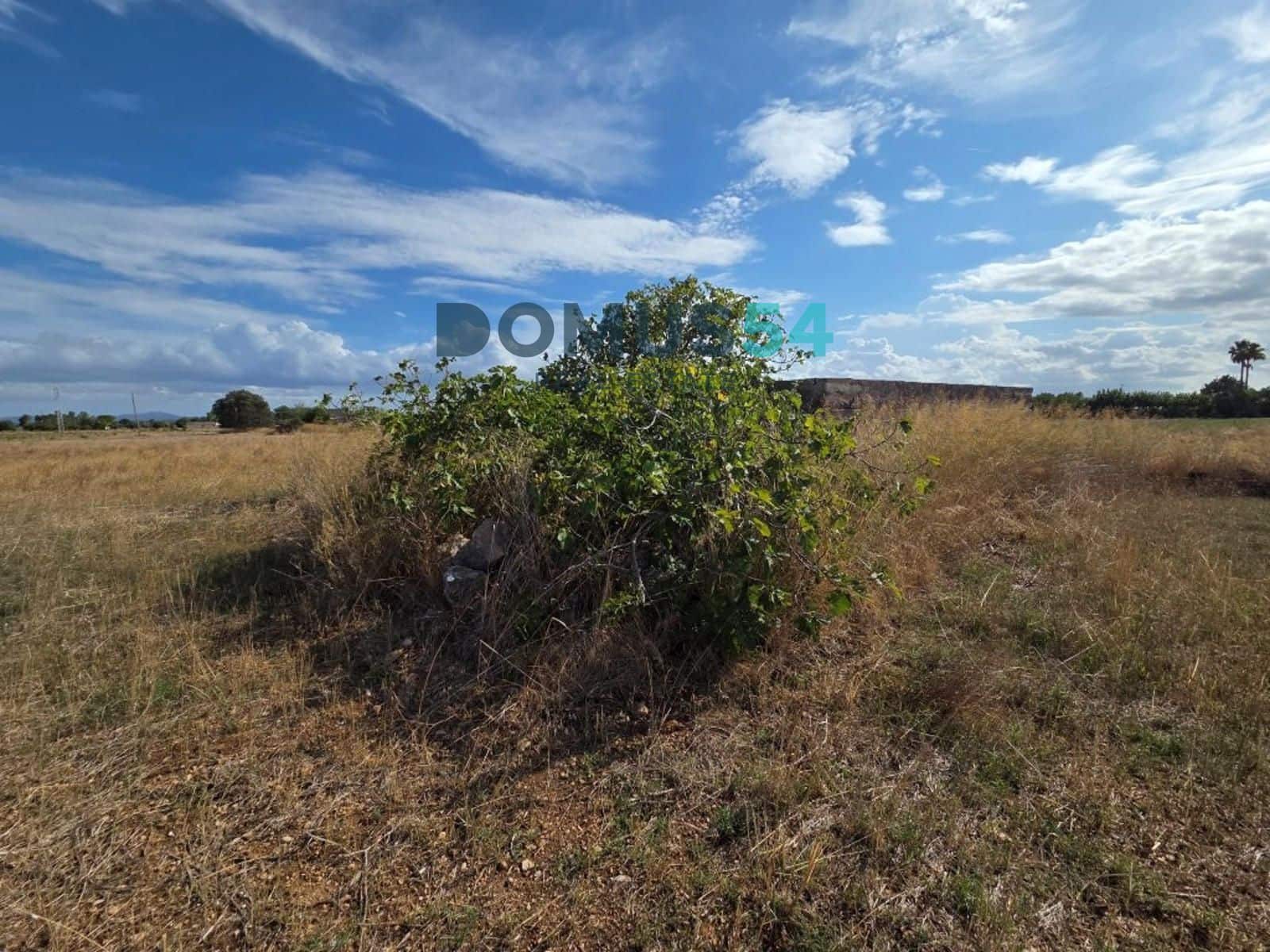 Grunde uden byggetilladelser til salg i Sa Pobla - € 64.000 (Ref: 10145101)
