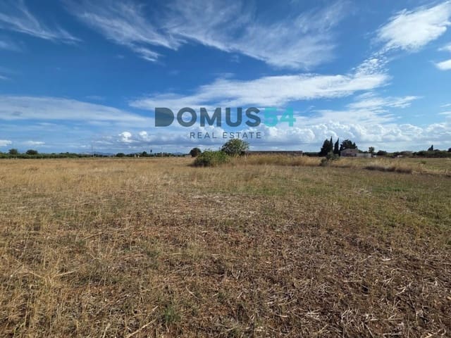 Grunde uden byggetilladelser til salg i Sa Pobla - € 64.000 (Ref: 10145101)