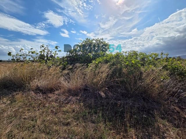 Grunde uden byggetilladelser til salg i Sa Pobla - € 64.000 (Ref: 10145101)