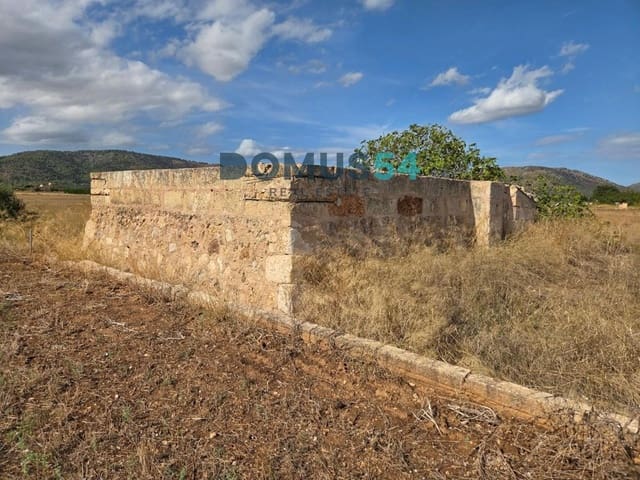 Grunde uden byggetilladelser til salg i Sa Pobla - € 64.000 (Ref: 10145101)
