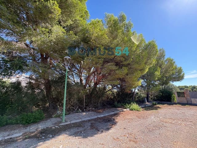 Area Edificabile in vendita in Calas de Mallorca, Manacor - 115.000 € (Rif: 10158381)