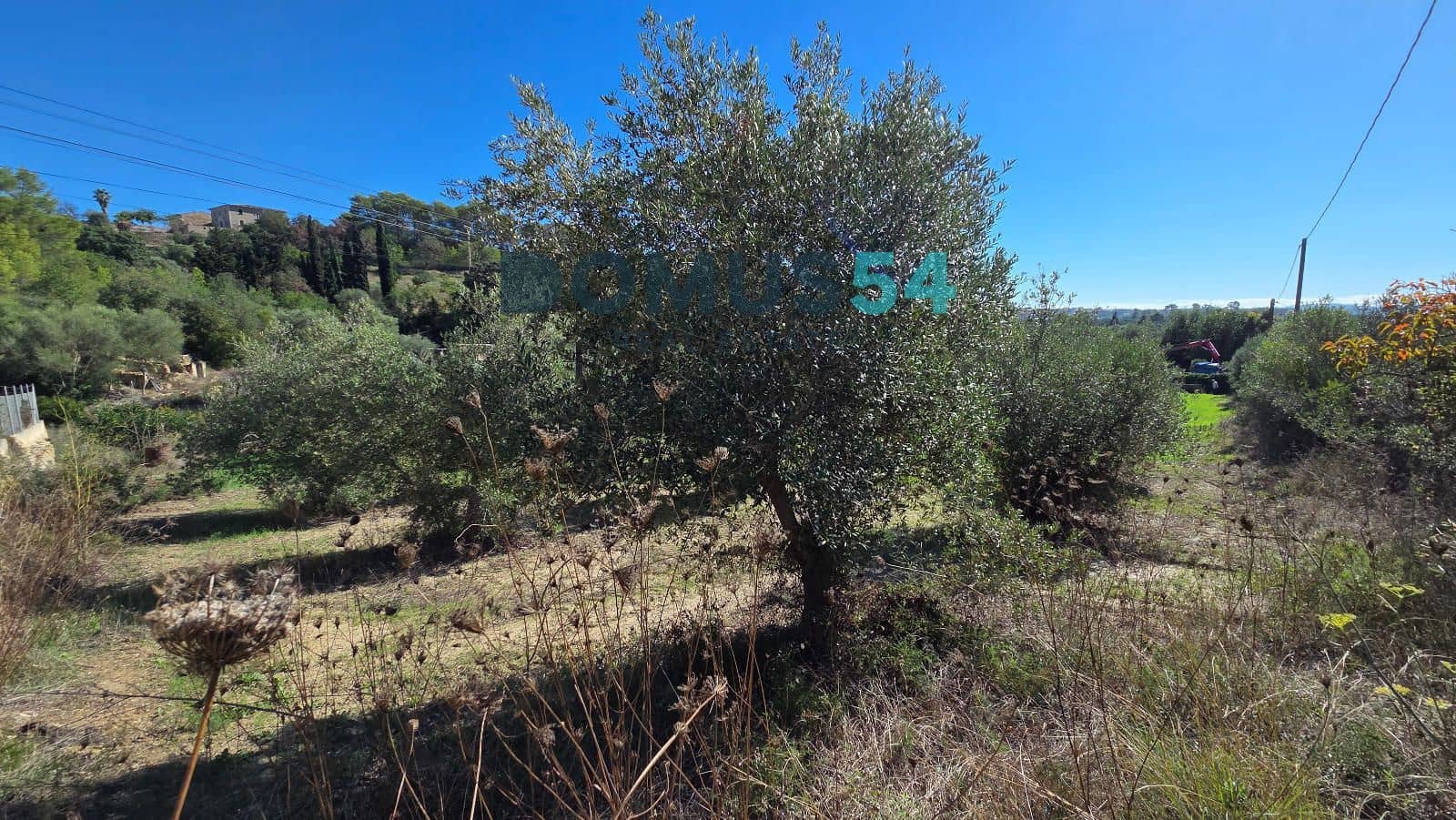 Grunde uden byggetilladelser til salg i Campanet - € 40.000 (Ref: 10175682)