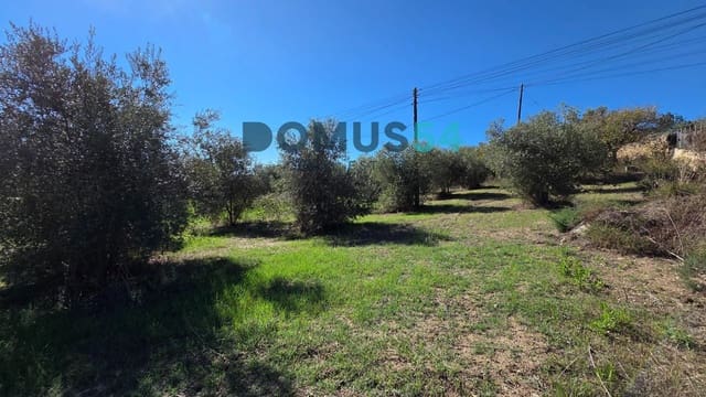 Grunde uden byggetilladelser til salg i Campanet - € 40.000 (Ref: 10175682)