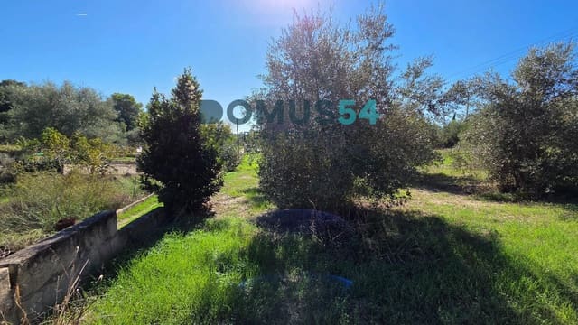Grunde uden byggetilladelser til salg i Campanet - € 40.000 (Ref: 10175682)