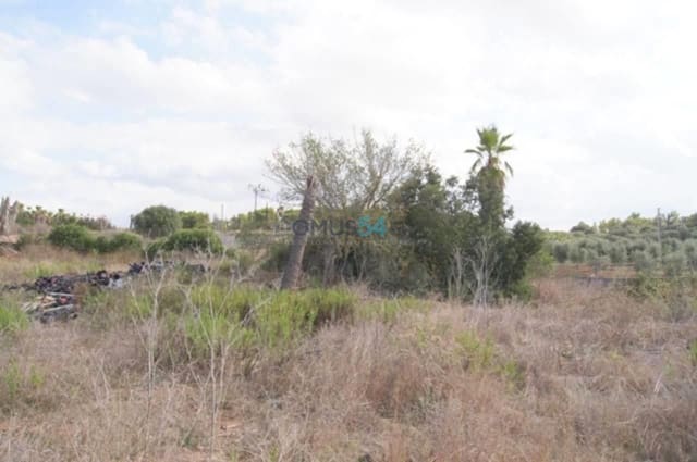 Building Plot for sale in Muro - € 233,300 (Ref: 2121269)
