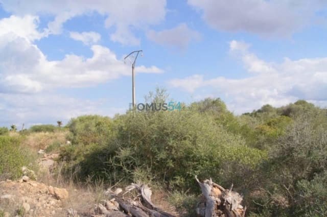 Building Plot for sale in Muro - € 233,300 (Ref: 2121269)