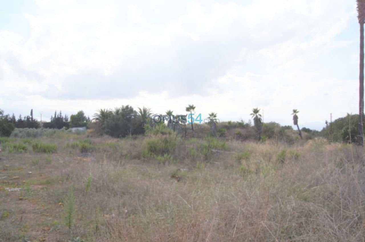 Byggegrund til salg i Muro - € 233.300 (Ref: 2121269)