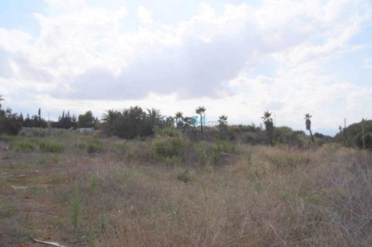 Byggegrund til salg i Muro - € 233.300 (Ref: 2121269)