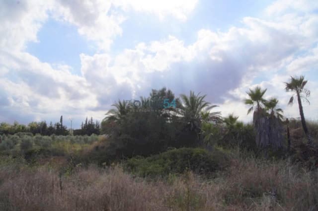 Building Plot for sale in Muro - € 233,300 (Ref: 2121269)